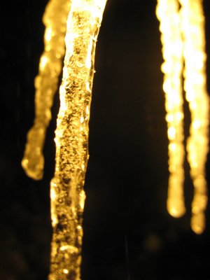IMG_7238.JPG
