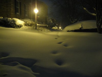 IMG_7244.JPG