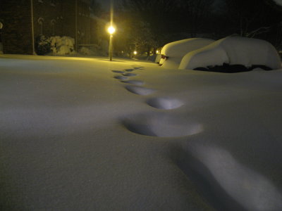 IMG_7255.JPG