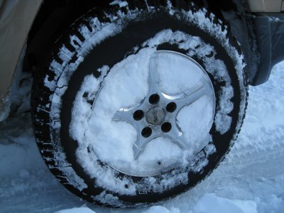 IMG_7288.JPG