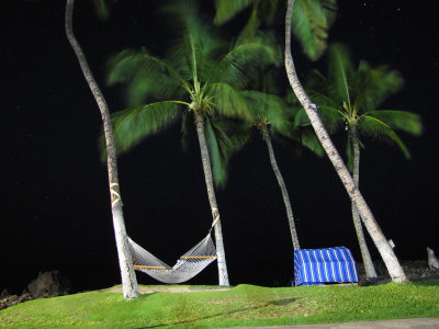 018hammockatnight.jpg