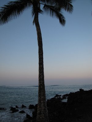 Hawaii 09
