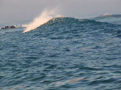 035earlymorningwave.jpg
