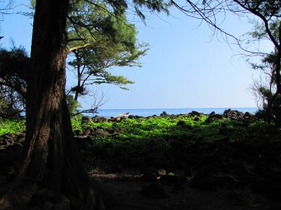 051oceanportal.jpg