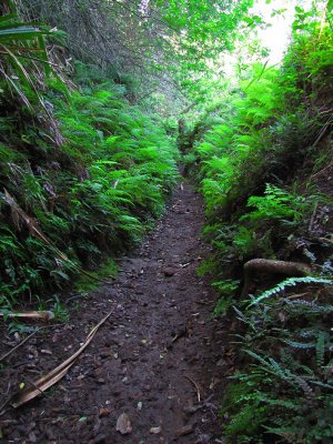 057wetandsteeptonextcliff.jpg