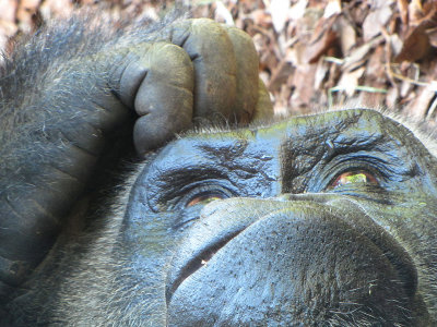 13thethinker.jpg
