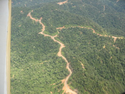 But then again, this is the way the forest is logged, taking millions and leaving behind devasted forest and polluted rivers.