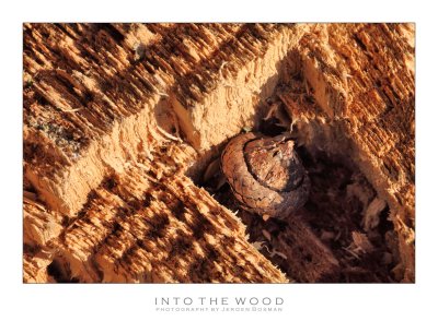 wood for thought