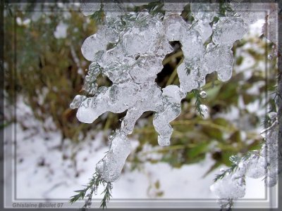 Verglas - Ice Storm 22 novembre 2007