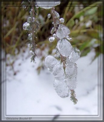 Verglas - Ice Storm 22 novembre 2007