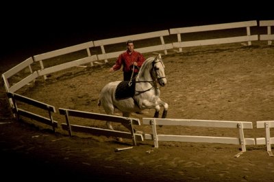 IMG_2397.jpg