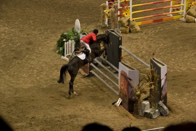 IMG_2549.jpg