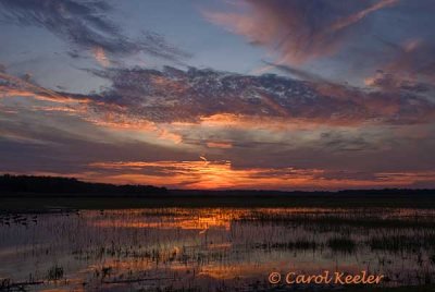 Sunset at the Marsh
