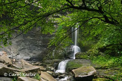 Summer at Cowshed Falls