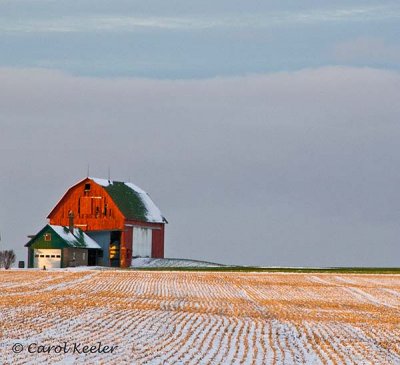 The Farm after the Snow