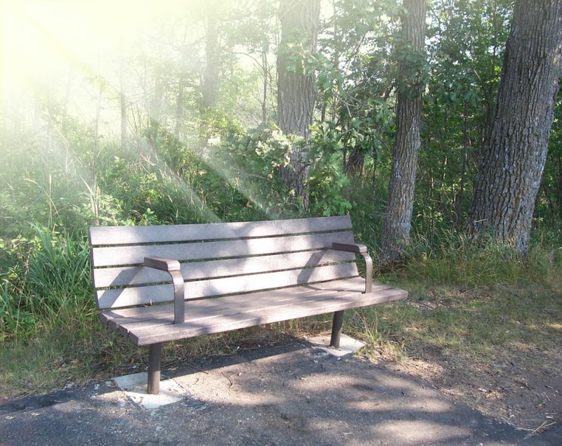 bench-sun-rays.jpg