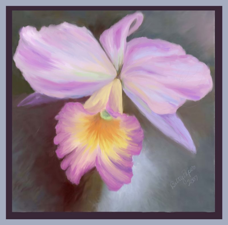 Orchid-02.jpg