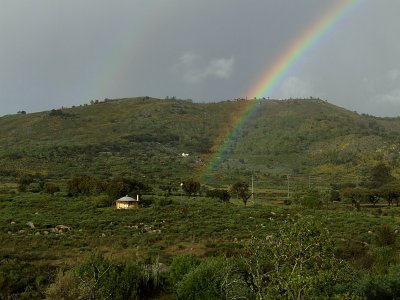 Regenboog / Rainbow