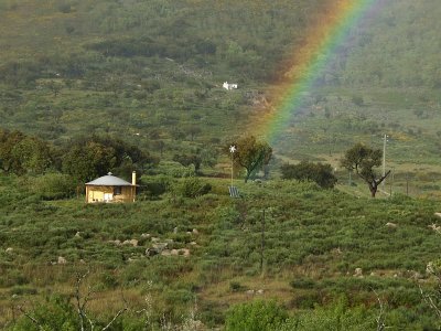 Regenboog / Rainbow