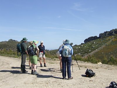 Kijken naar de Gieren / Looking for Vultures
