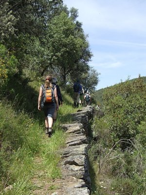 Wandeling