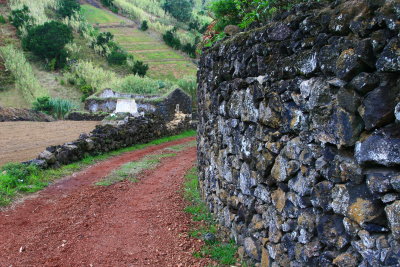 Farmers road to the fields, Azores