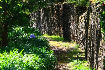 Path by a stone wall