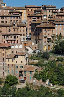 Neighbourhood (Siena, Italy)