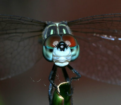08_18_07 052_ce.jpg