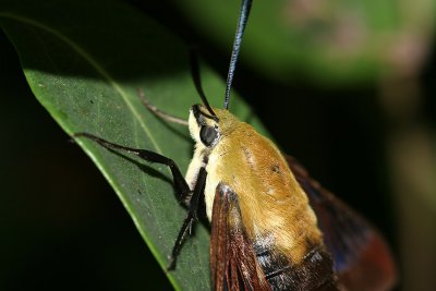 08_29_07 060_ce.jpg
