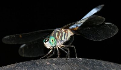 08_29_07 069_ce.jpg