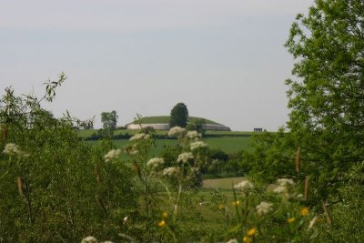 Newgrange the mysterious mound behind the bushes.jpg