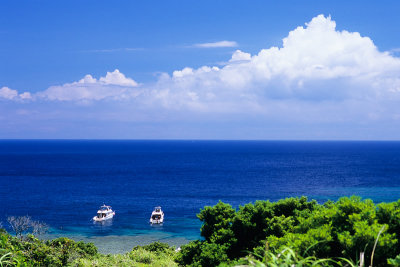 moored boats