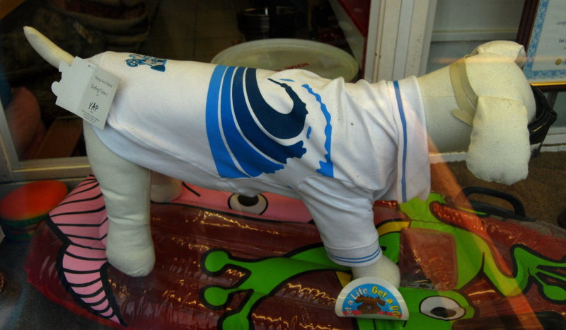 Dog T-shirt