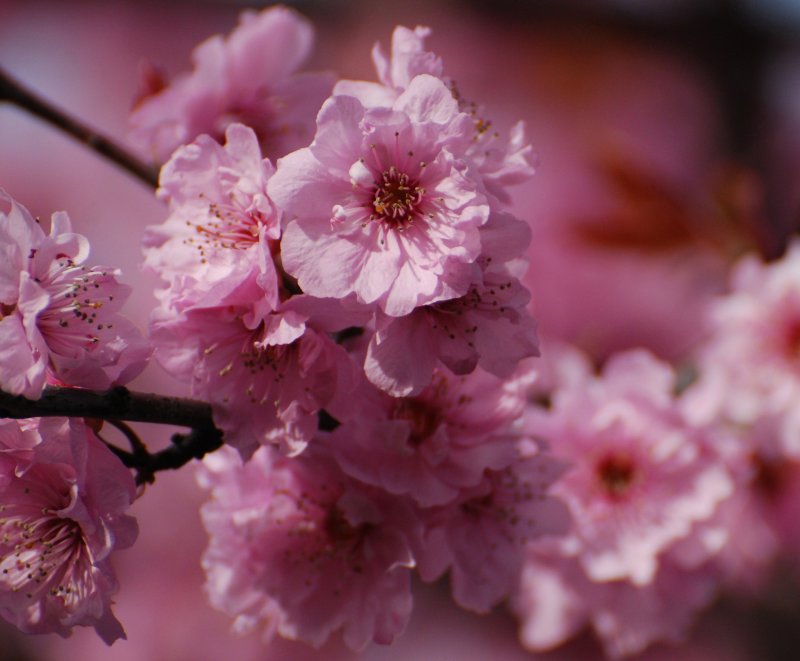 Spring is  in the air