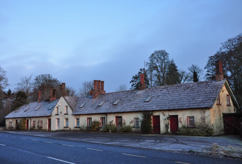 A frosty  morning