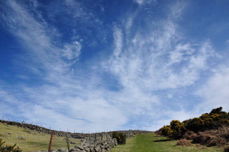 Blue Skies