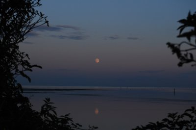 Moonlight Over Dundalk Bay