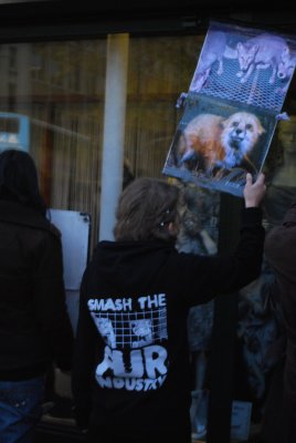Anti-fur protesters