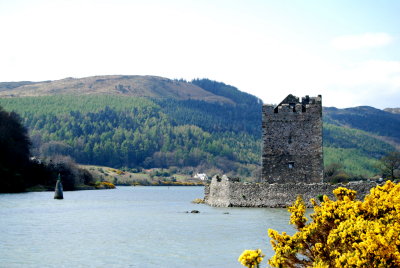 Narrow Castle