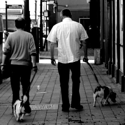 Two men and their dogs.