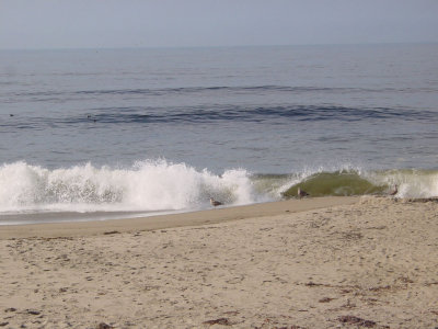 Moss Landing State Beach