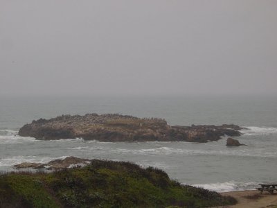 Pescadero State Beach