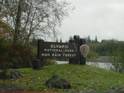 Hoh Rain Forest, Olympic National Park