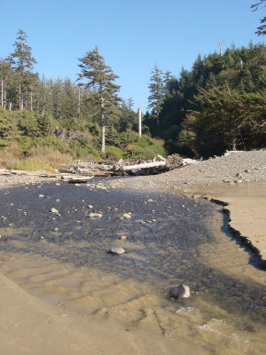 Indian Beach, Ecola State Park