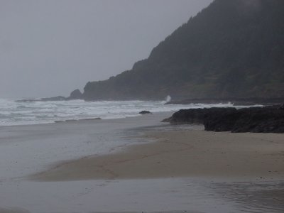 DSC02508-resize.jpg