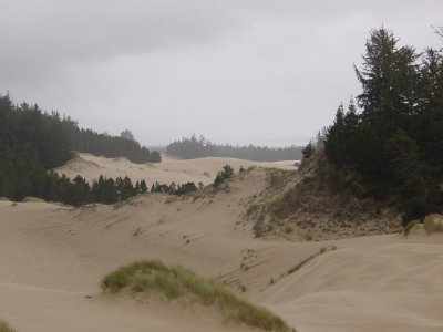Oregon Dunes National Recreation Area