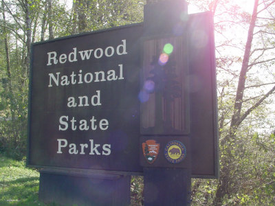 entering redwood country!