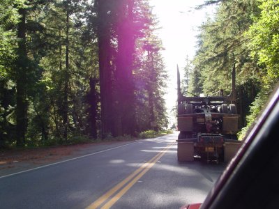 stopped behind an empty logging truck, Redwoods National Park