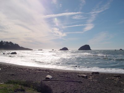 beach across the road from Redwoods Hostel